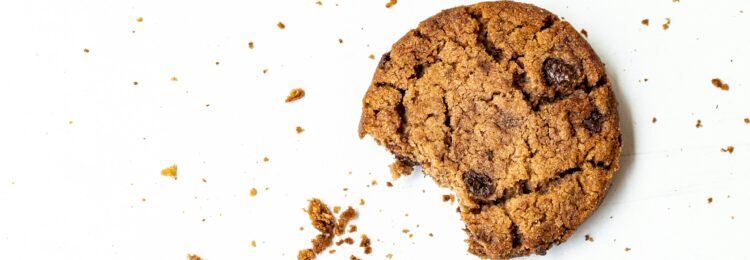 Google 主題 API:對(duì)主題多樣性和潛在挑戰(zhàn)的擔(dān)憂