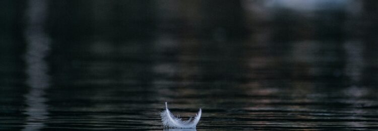 Google Ads 中的色情內(nèi)容。 政策更新