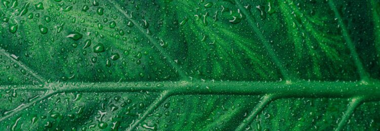 常青內(nèi)容——如何創(chuàng)建永不過時的內(nèi)容？