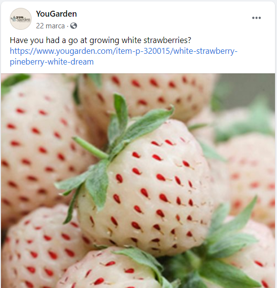 園藝行業(yè) SEO 的社交媒體端口示例