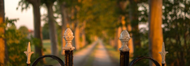 門控內(nèi)容——它是什么以及它如何支持您的業(yè)務(wù)？