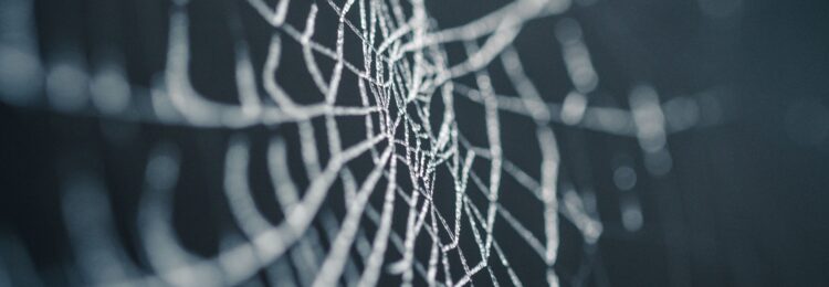 如何優(yōu)化您的抓取預(yù)算？