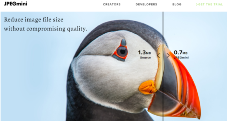 圖片大小規(guī)則