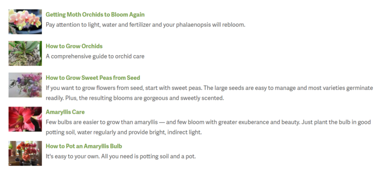 來自園藝行業(yè)的在線商店的博客示例